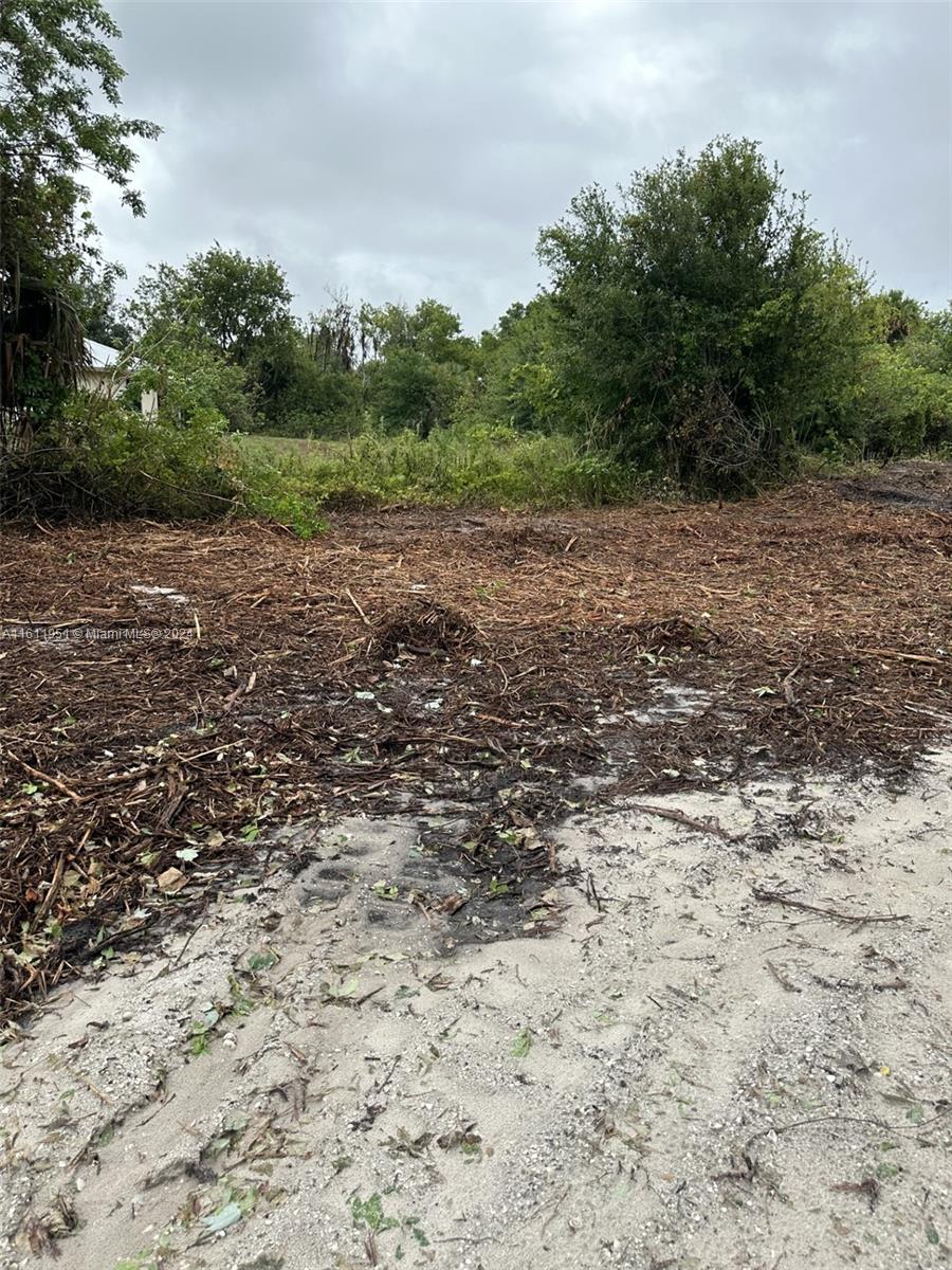 Okeechobee Hammock