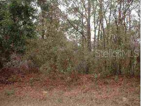 Lake Tropicana Ranchettes