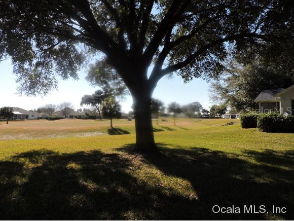 Ocala Palms