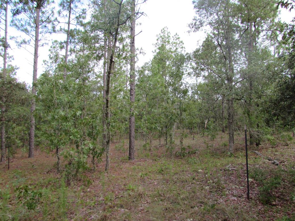 Lake Tropicana Ranchettes