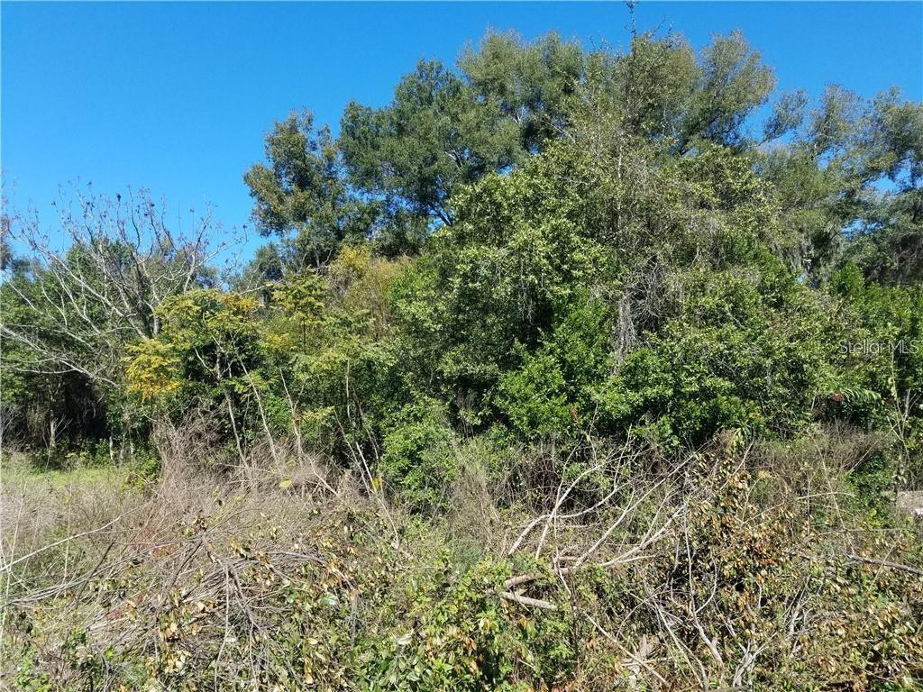 HUTCHINSONS E 01/2 SW 01/4 NE 01/4