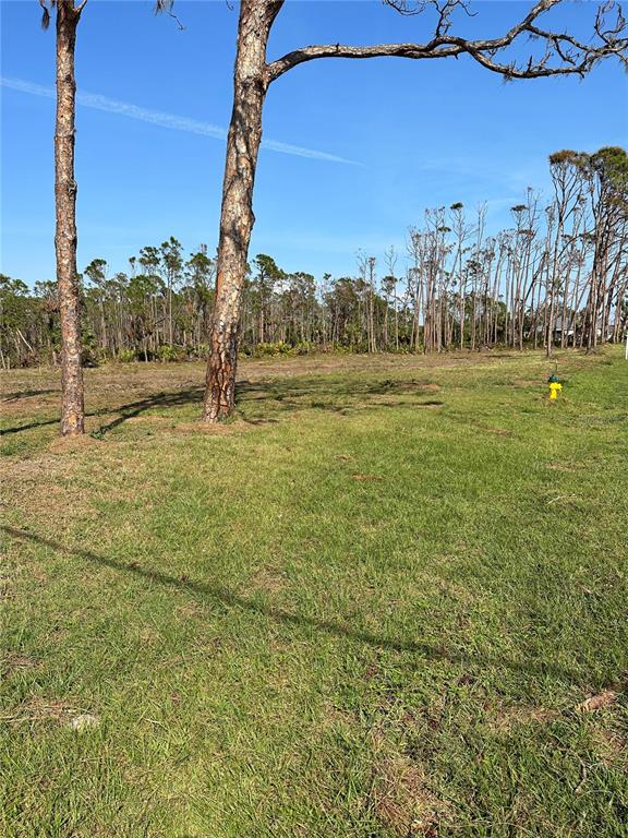 SHAMROCK SHORES 1ST ADD