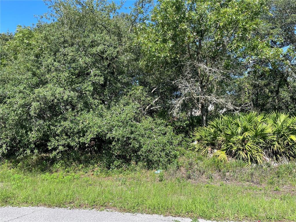 POINCIANA NBRHD 02 WEST VILLAGE 07