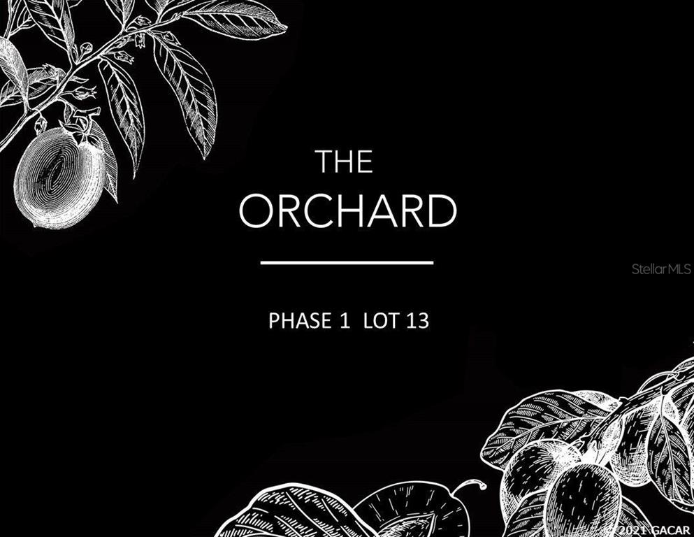 Flint Rock Agrihood/The Orchard