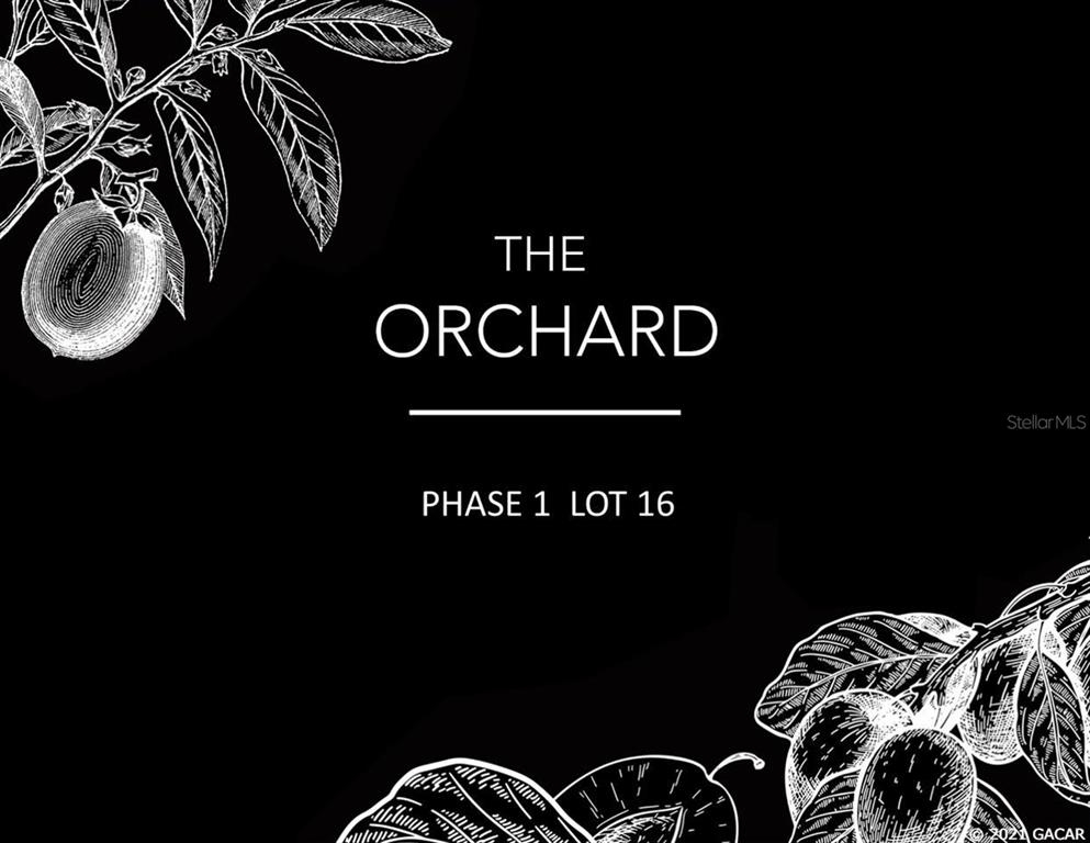 Flint Rock Agrihood/The Orchard
