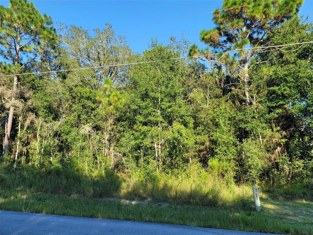 ORANGE BLOSSOM HILLS