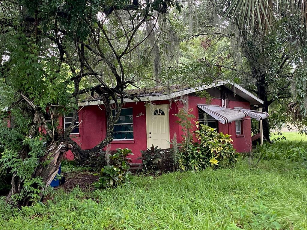 HOUGHTONS ADD TO NEW MEMPHIS