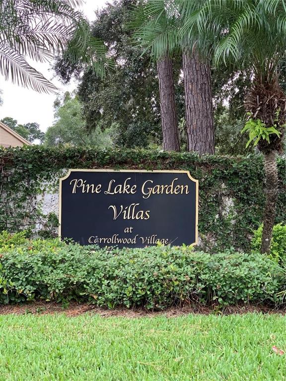 CARROLLWOOD VILLAGE PINE LAKE