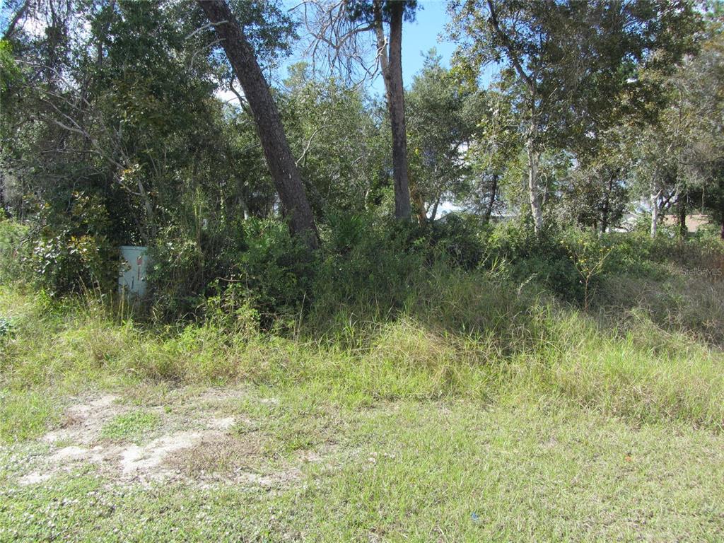 DELTONA LAKES UNIT 39