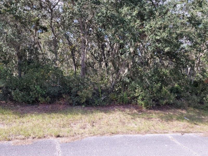 POINCIANA NBRHD 02 WEST VILLAGE 07