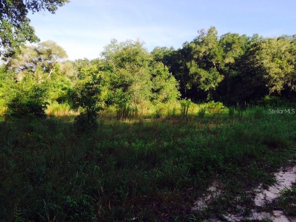 INTERLACHEN LAKES ESTATES