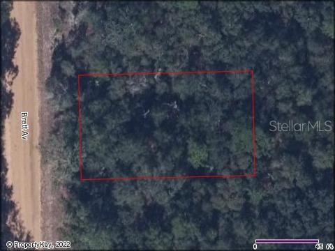 INTERLACHEN LAKES ESTATES