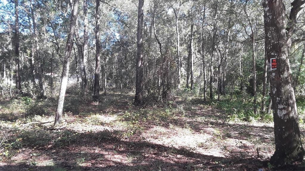 BLACK SINK CAMPSITES
