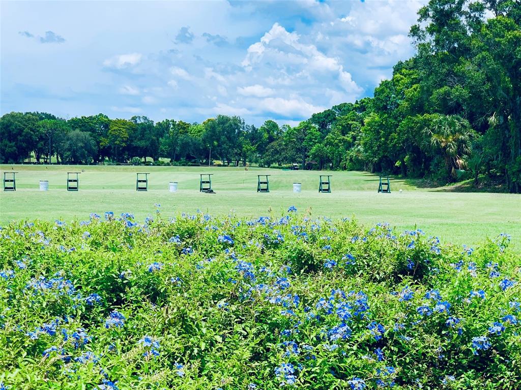 INNISBROOK