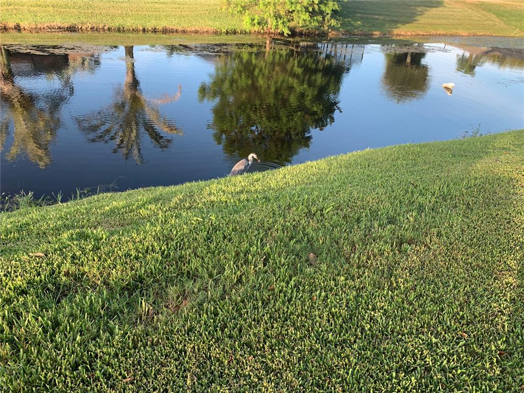 ROTONDA WEST LONG MEADOW