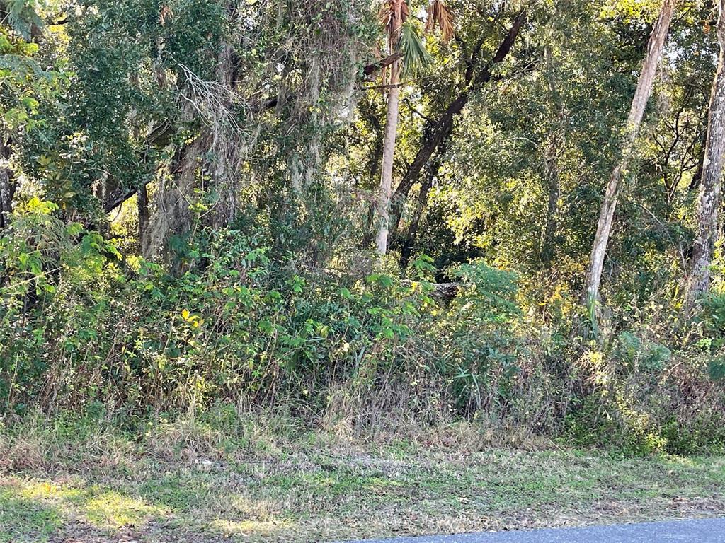 WOODLAND ESTATES UNIT 01