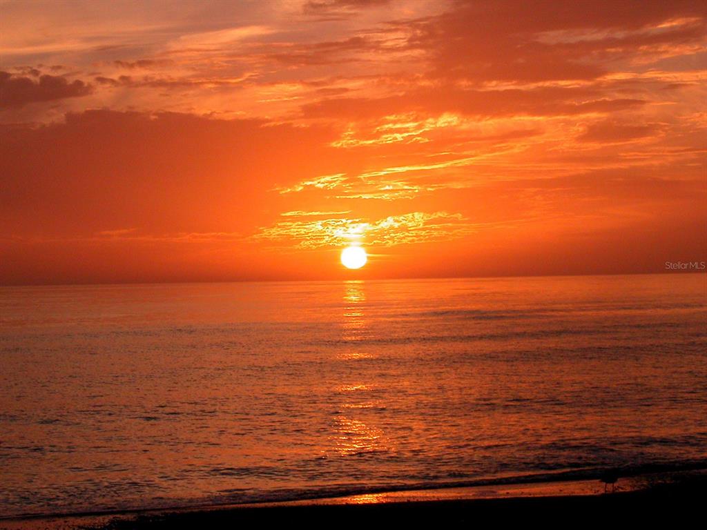 SARASOTA BEACH