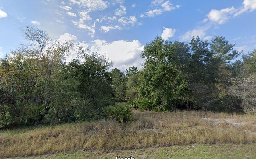 POINCIANA NBRHD 02 WEST VILLAGE 07