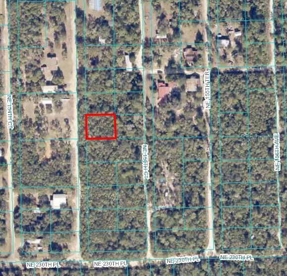 OCALA NAT CAMP UNIT1