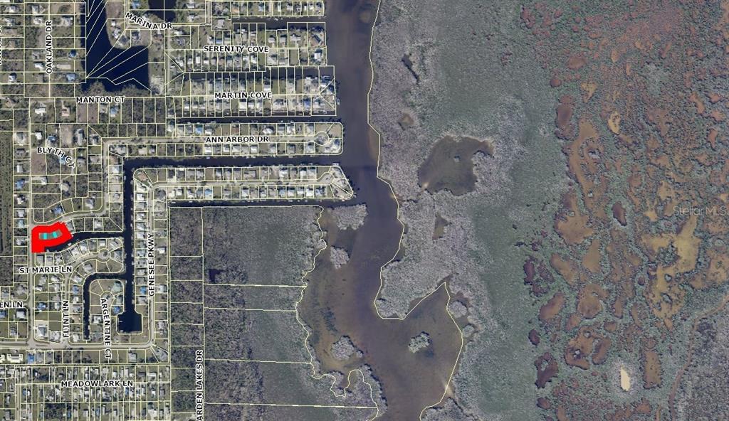 CHARLOTTE SHORES