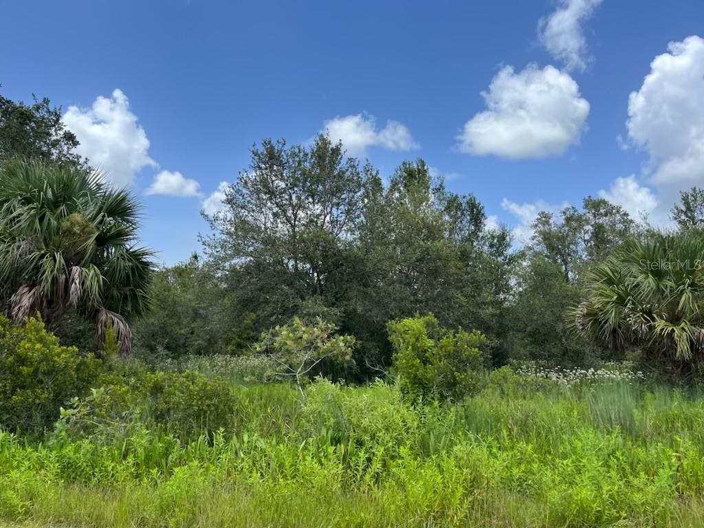 SOUTHERN COLONIZATION CO