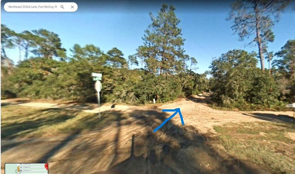 OCALA NATIONAL FOREST RESTRICTED CAMPSITES