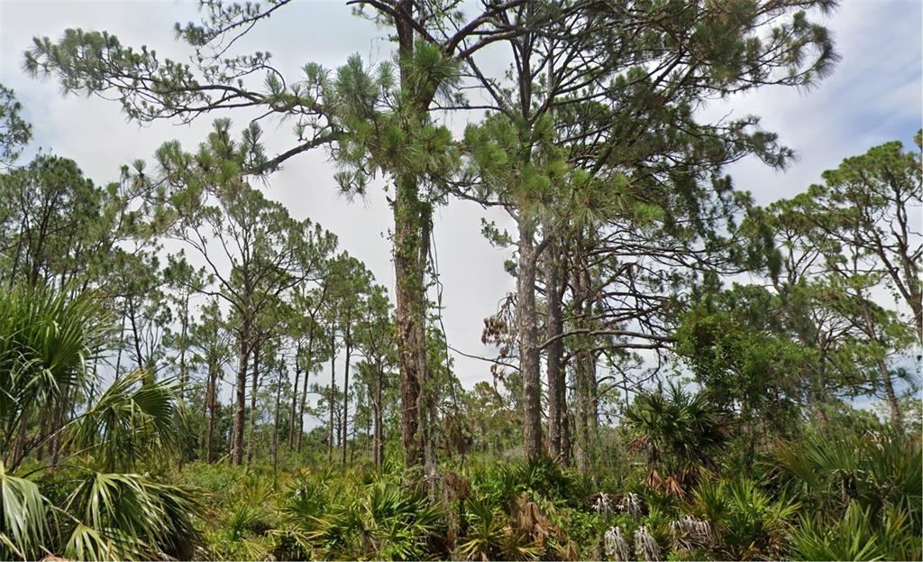 PORT CHARLOTTE SEC 061