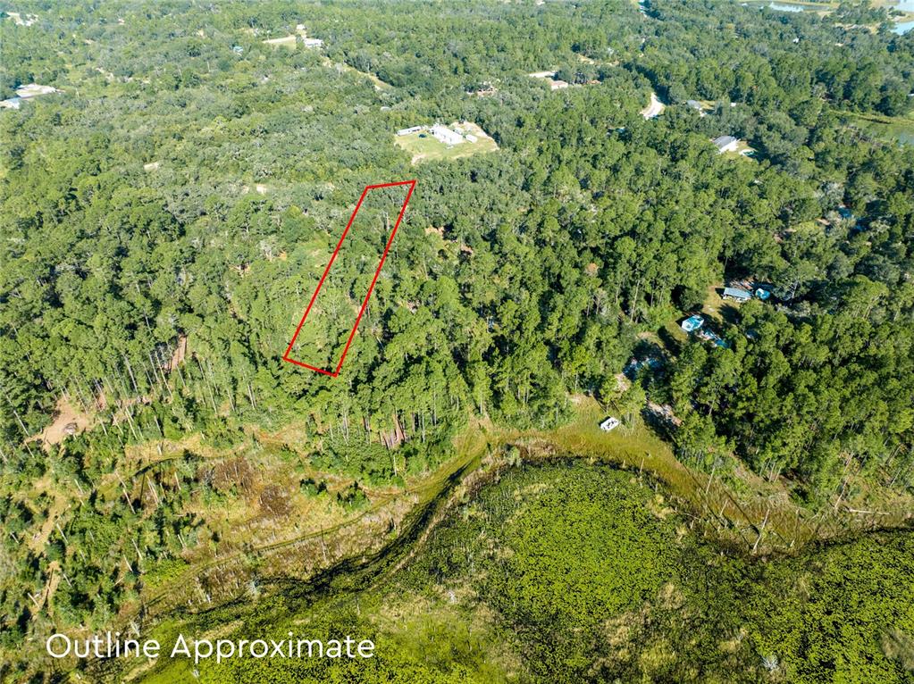 BIG TREE LAKES SEC C