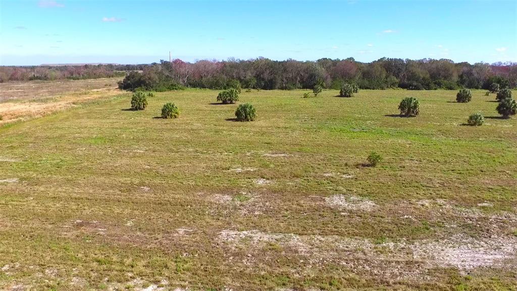 RANCHES AT THE JUNCTION