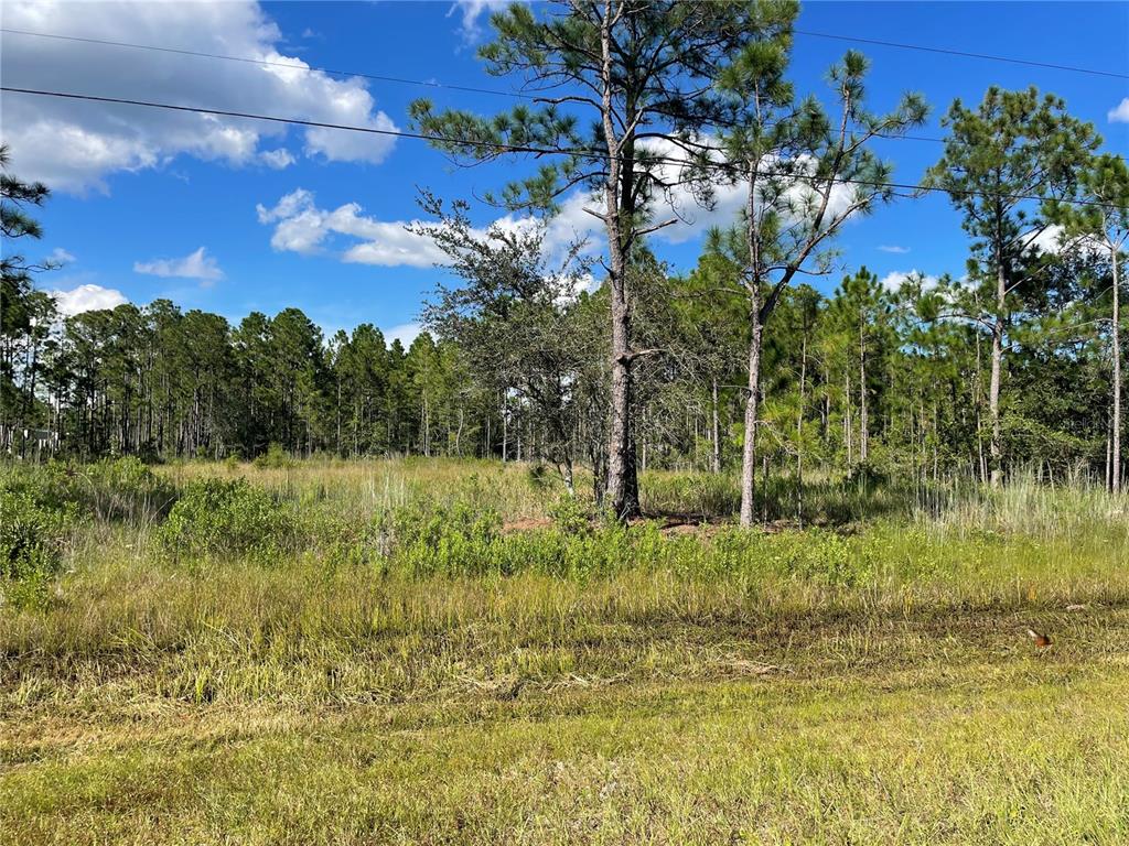 CAPE ORLANDO ESTATES