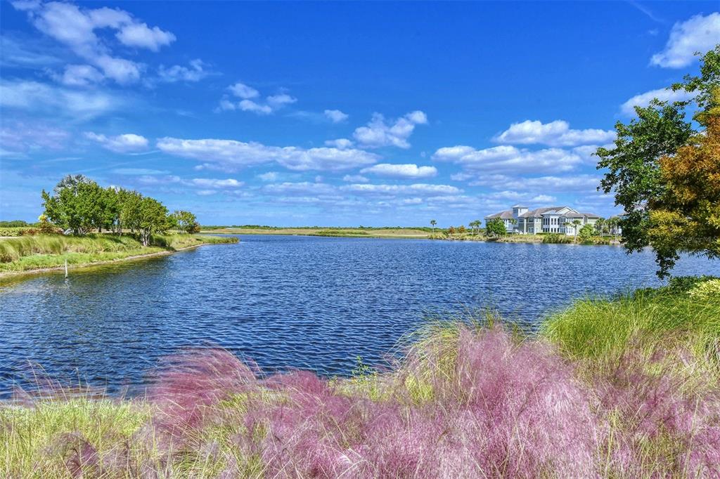 EDGEWATER WALK II ON HARBOUR IS 2, 4, 8-11