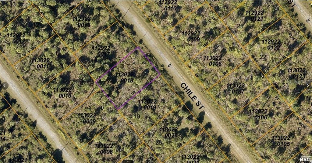 PORT CHARLOTTE SUB 46