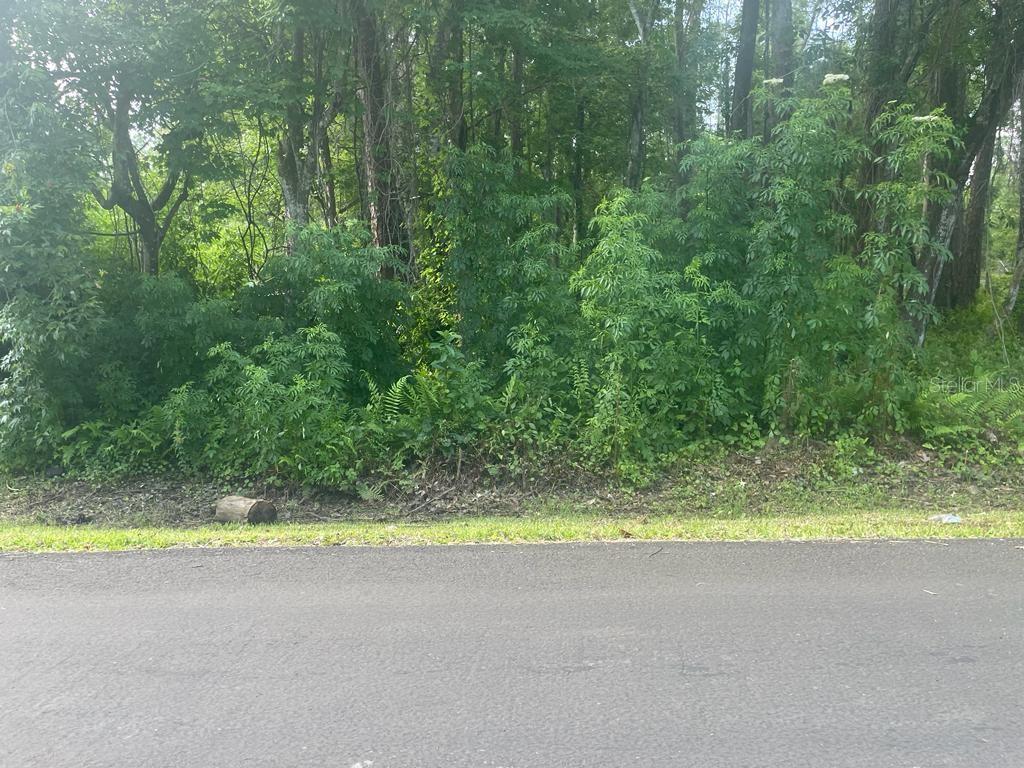 KISSIMMEE VIEW UNIT B