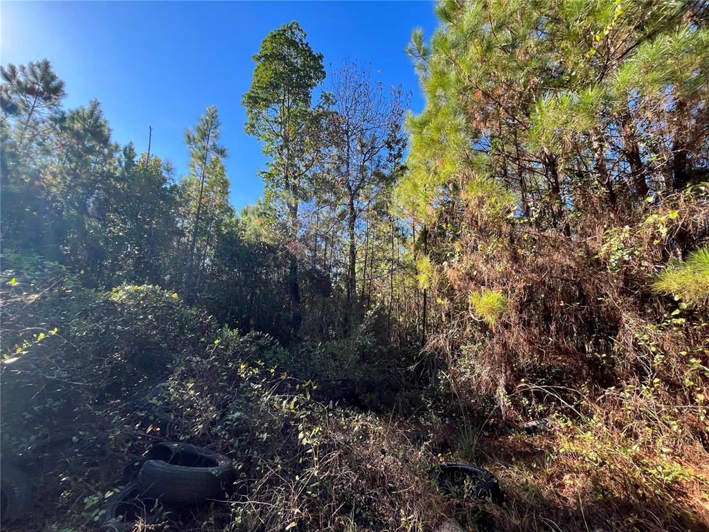 ST JOHNS RIVERSIDE ESTATES