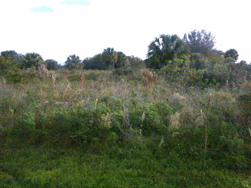 SOUTHERN COLONIZATION CO