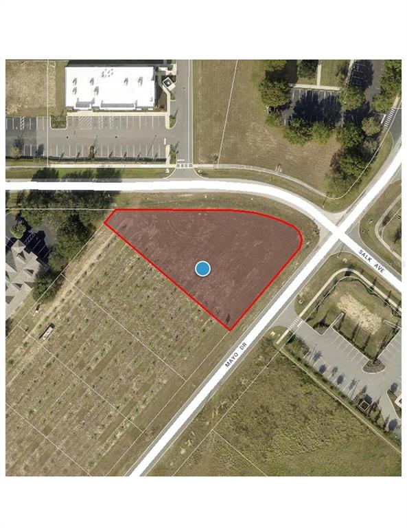 TAVARES LAKE VIEW CENTER PH 01