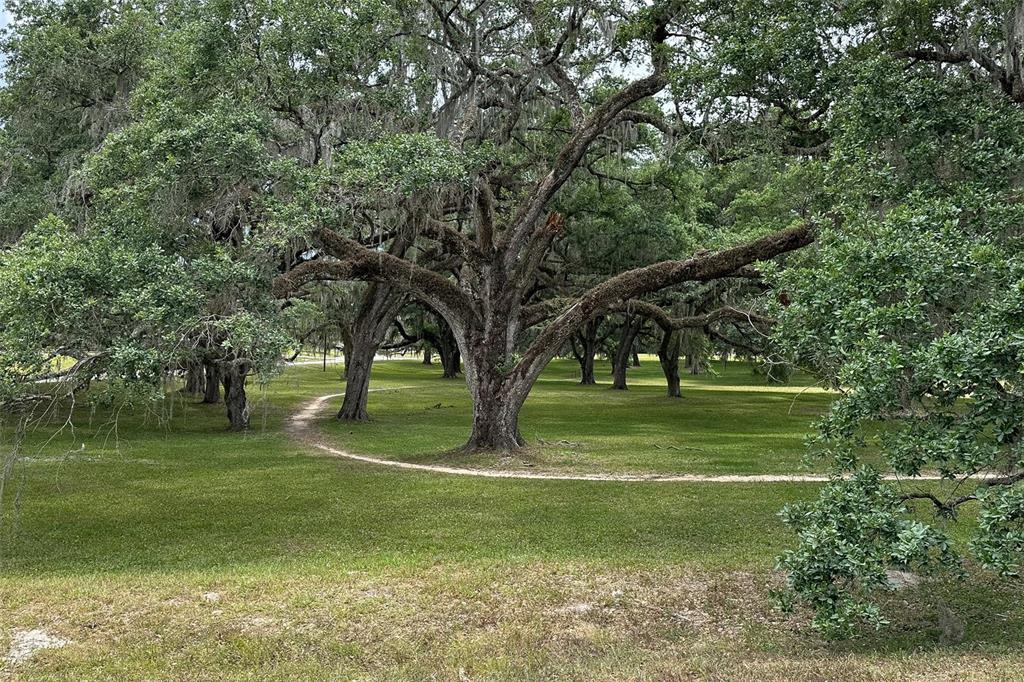 ROLLING RANCH ESTATE