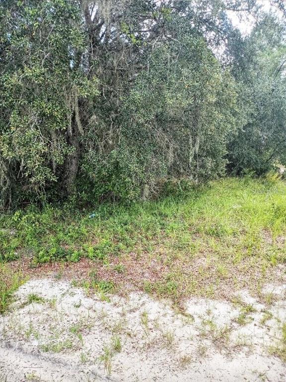 POINCIANA NBRHD 02 WEST VILLAGE 07