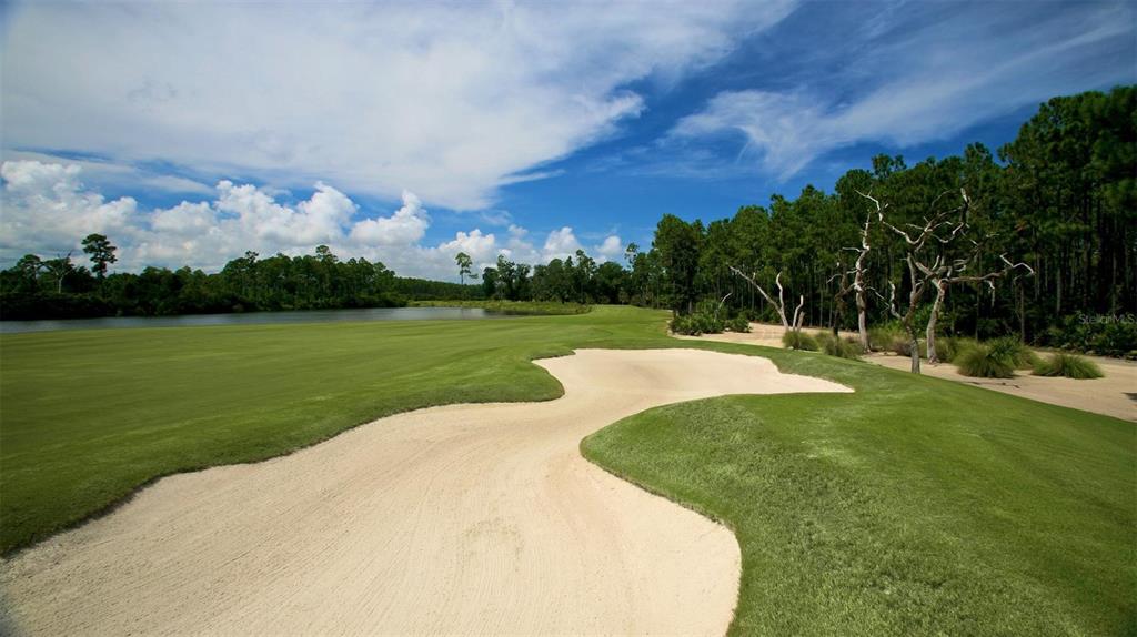 HAMMOCK DUNES