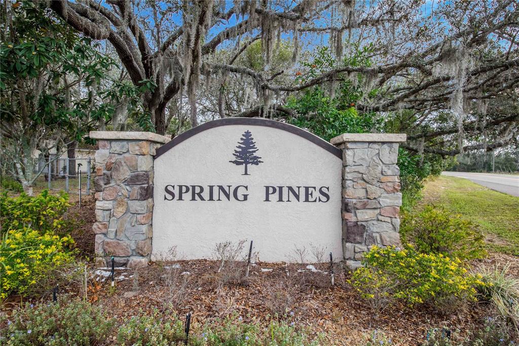 SPRING PINES