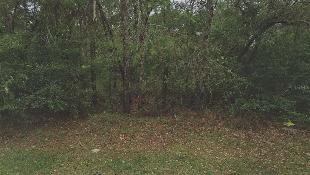 ST JOHNS RIVERSIDE ESTATES