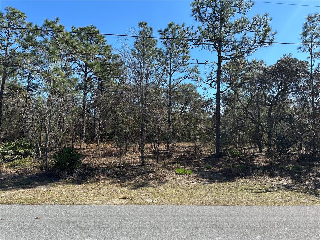 SUGARMILL WOODS CYPRESS VILLAGE