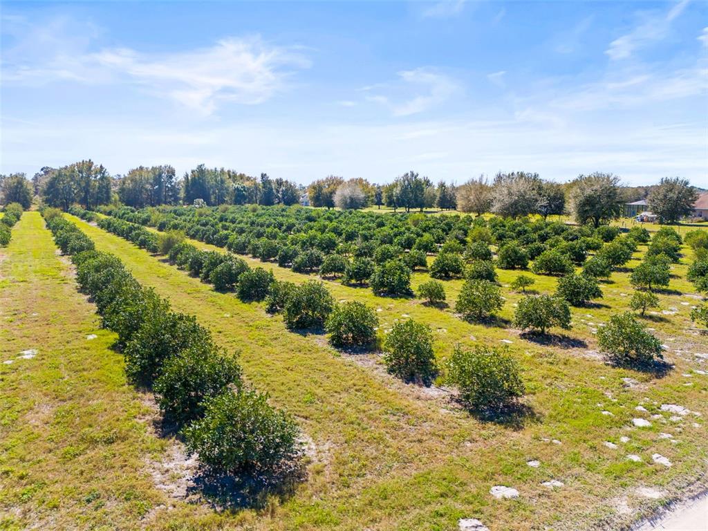 AKA ARROWHEAD PLACE SUBD UNREC