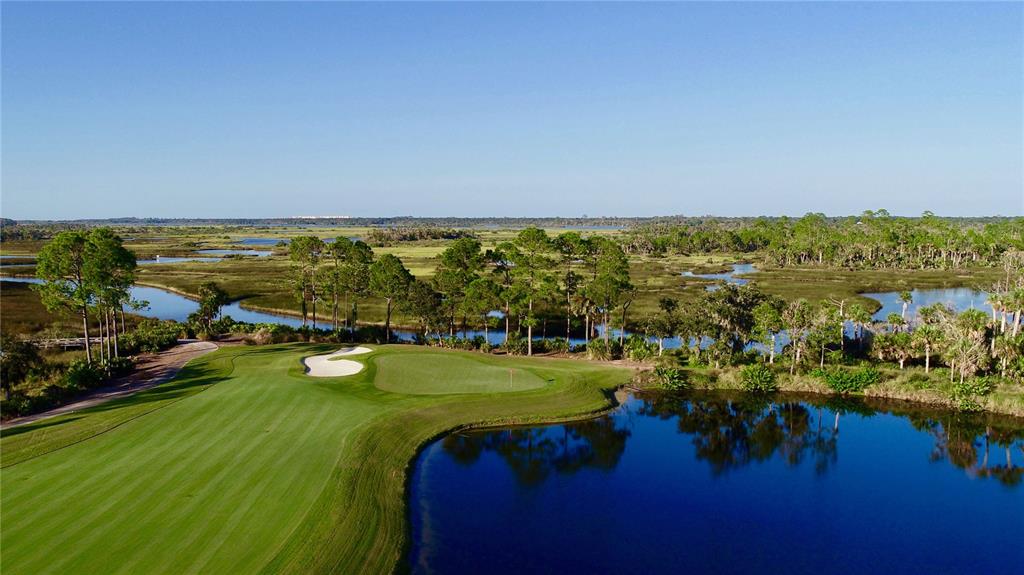 HAMMOCK DUNES