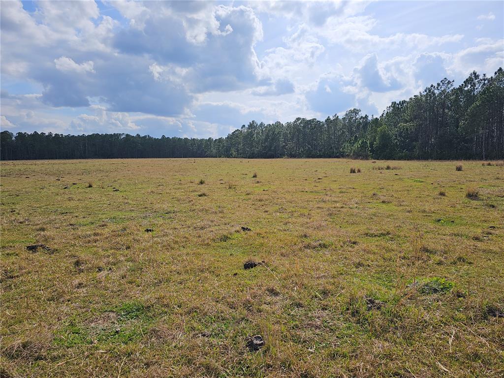 SUNRISE ACRES