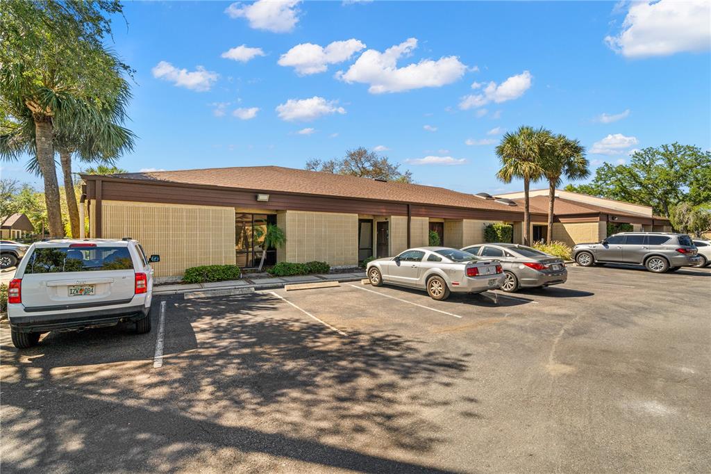 DRUHILL PROFESSIONAL