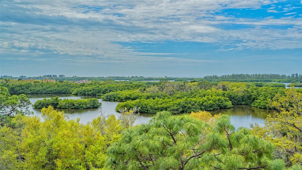 MERIDIAN AT THE OAKS PRESERVE
