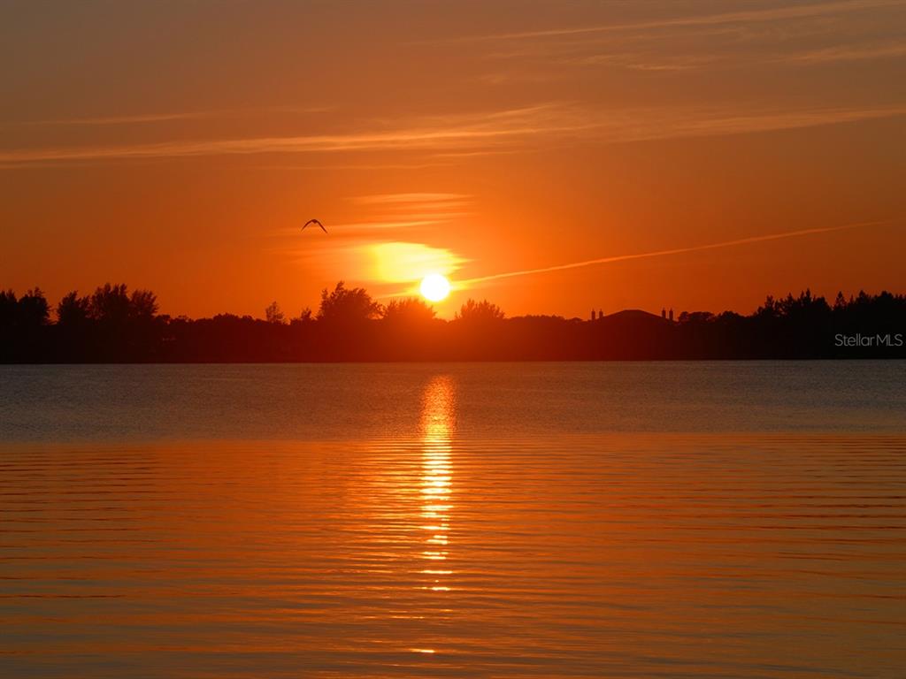 SARASOTA HARBOR EAST