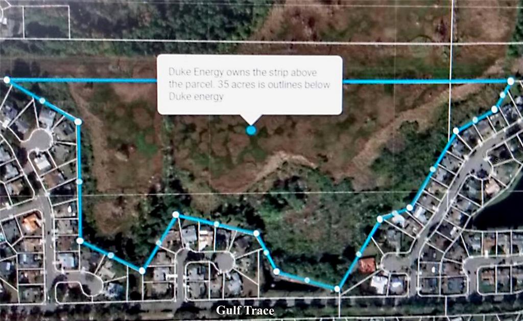 TAMPA TARPON SPGS LAND CO