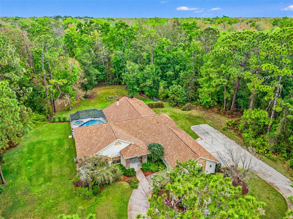 LAKE IN THE WOODS PH IV